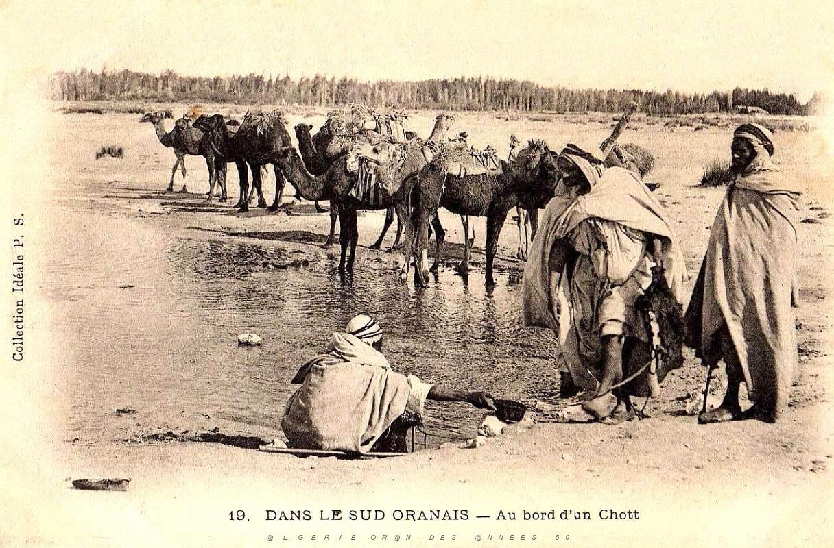 Sud oranais 03.jpg